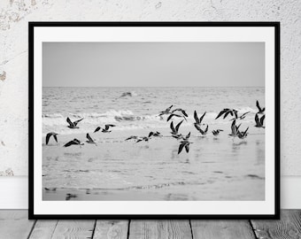 Coastal Wall Art, Beach Photography, Black and White Photo, Seagulls, Coastal Decor, Printable Art
