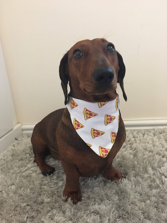 hill's prescription diet id digestive care