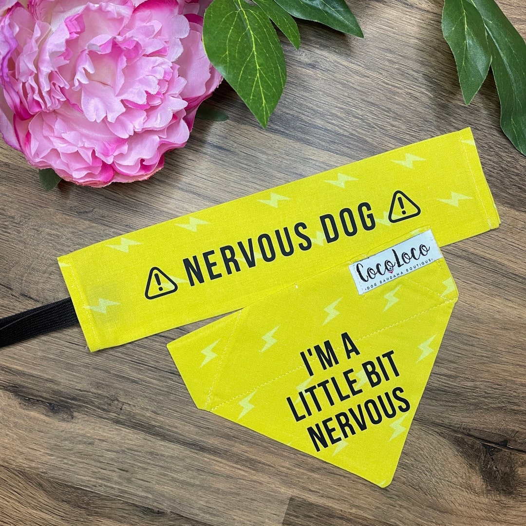 Nervous Dog Bandana / Lead Cover Etsy