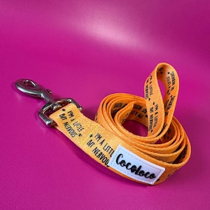 Little Bit Nervous Dog Lead