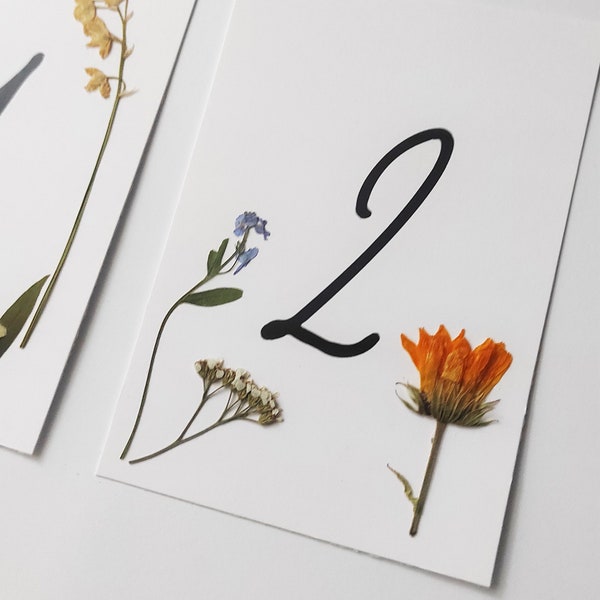 Tischnummernkarten mit gepressten Blumen. Hochzeit Tischnummern mit Blumen. Hochzeitsdeko Karten mit gepressten Blumen.