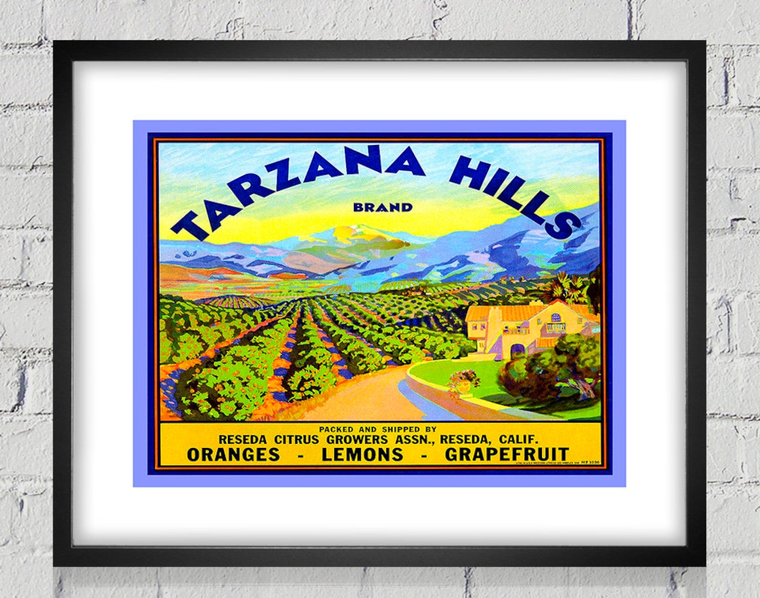 1940 Vintage Produce Label Tarzana Hills_brand Digital Reproduction Etsy