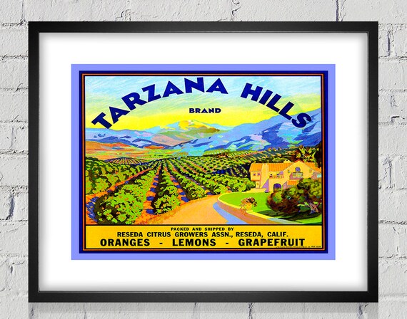 1940 Vintage Produce Label - Tarzana Hills_Brand - Digital Reproduction