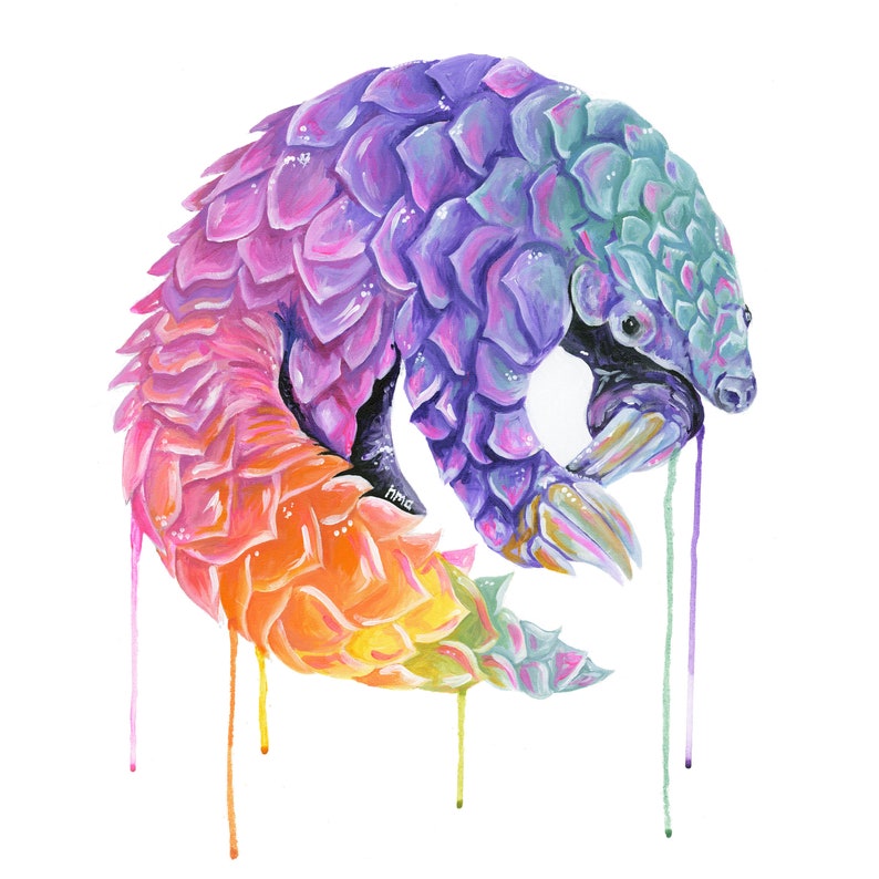Impression Pangolin Giclée 'Pod' Etsy