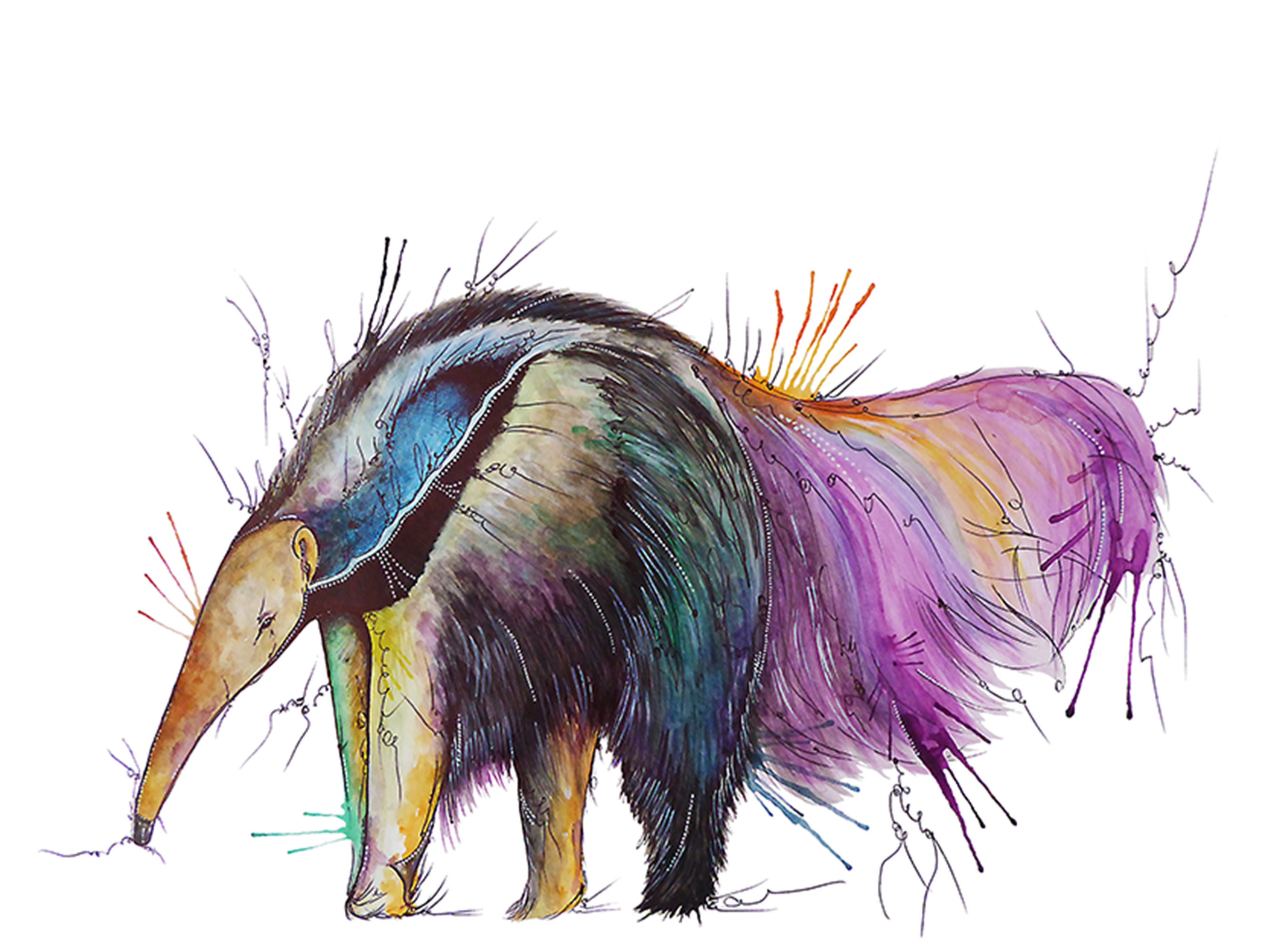 Giant Anteater Tongue