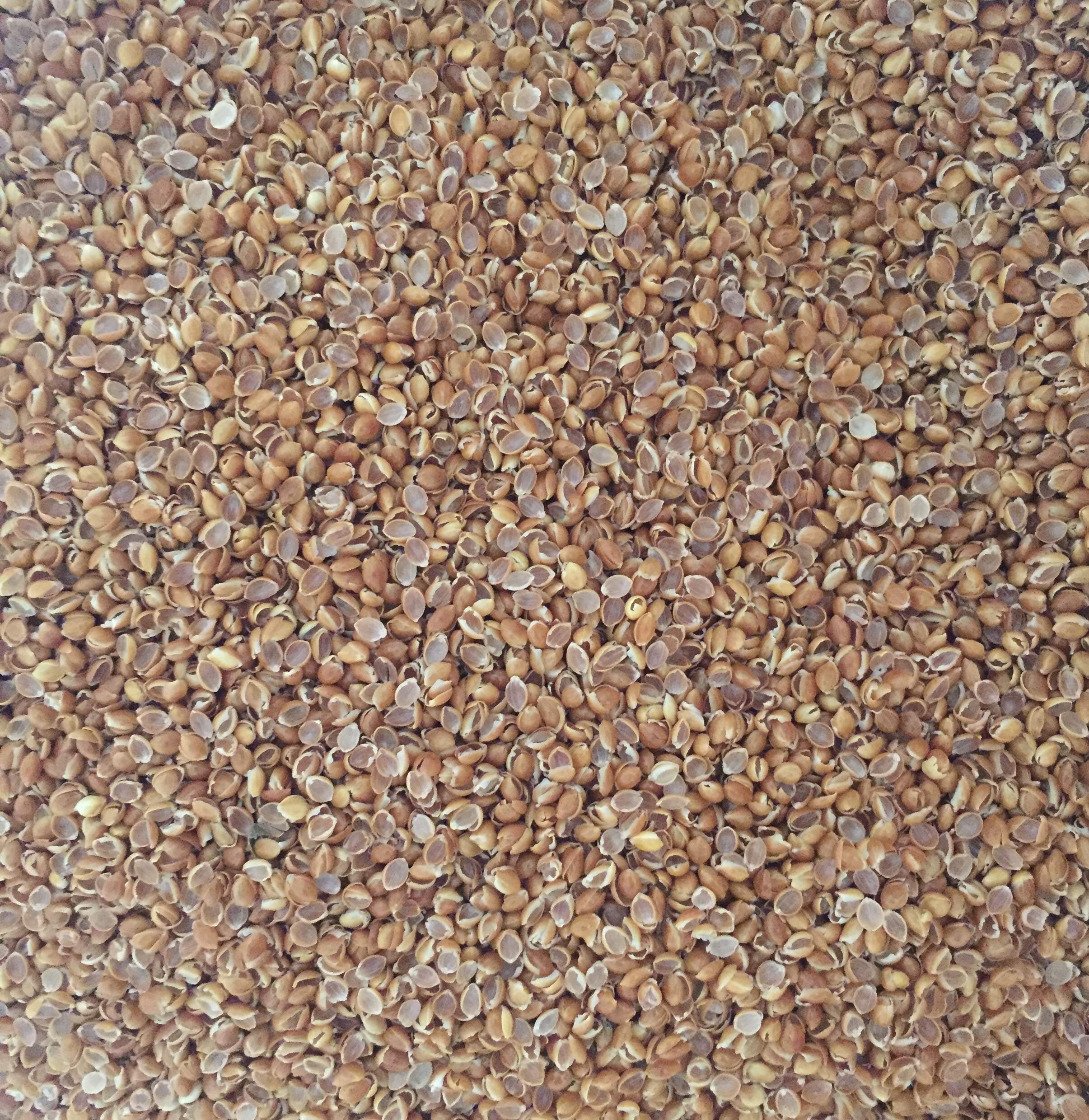 Pillow Glow in the Dark With Organic Millet Husks, Kindergarten, Light