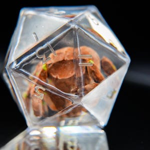 May include: A clear, multi-sided die with a brown, textured object inside. The die has white numbers on its sides. The object inside appears to have green accents. The die is set against a black background.