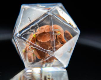 Rocky Dice and Grace Figurine Project Hail Mary Dice Collection