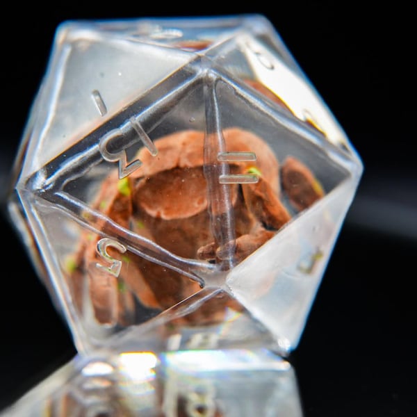 Rocky Dice and Grace Figurine Project Hail Mary Dice Collection