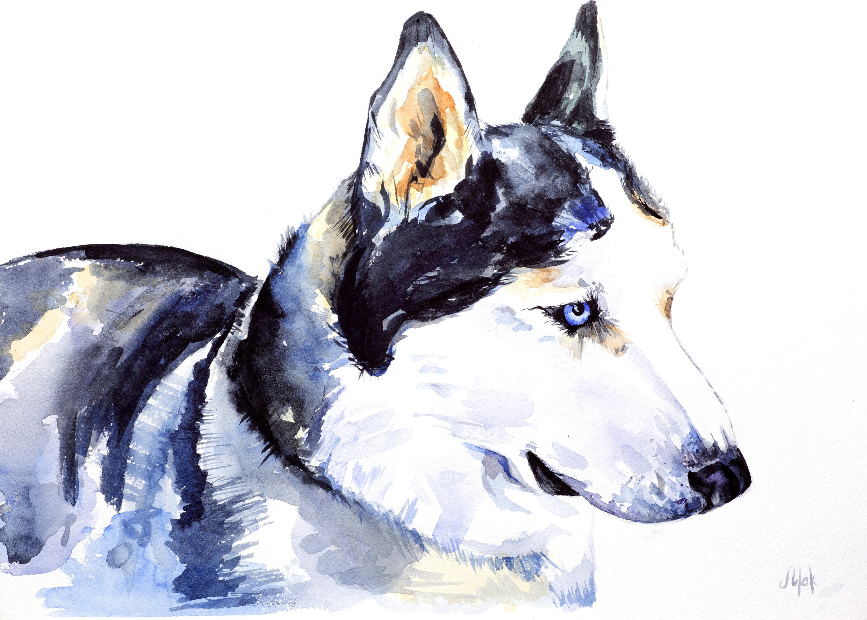 My art supplies – I Sketch Pets