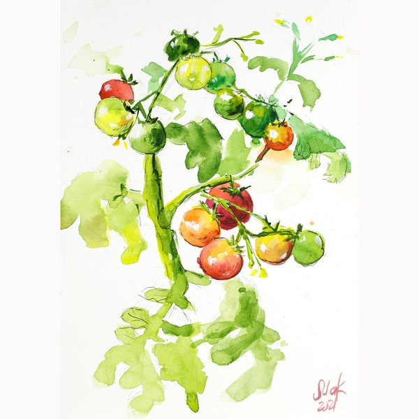 Tomato Painting Vegetables Original Watercolor Vegan Wall Art Kitchen Artwork 12x8'' by NatalyMak