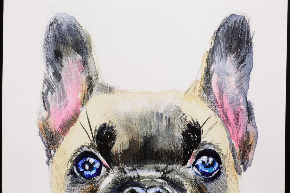 Draw My Dog Pet Commission Paint My Dog Draw My Pet Custom Dog Etsy