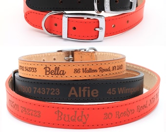 boy dog collars etsy