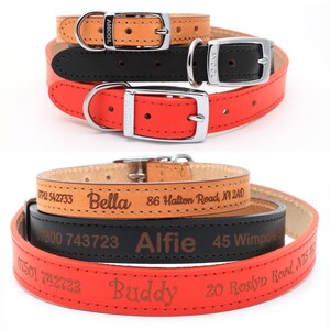dog collars etsy