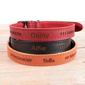 Personalised Custom Leather Dog Puppy Collar | Design Your Unique Pet ID Tag | Laser Engraved (red, tan, black)