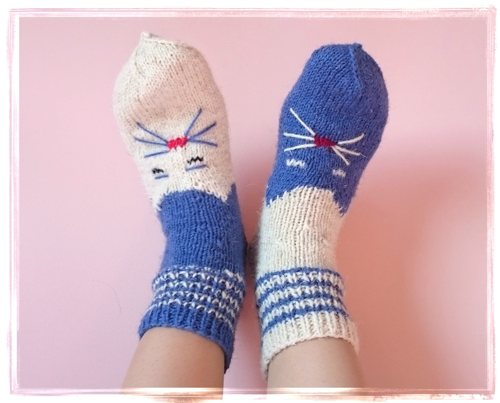 Cat Sock 38 Cat Socks for Women Cat Slippers Cozy Socks Etsy