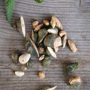 May include: A collection of dried, irregular botanical seed pods or nut fragments with a textured, dark green exterior and a light beige, woody interior. The pieces vary in size and shape, displaying a rough, natural surface with exposed inner flesh.