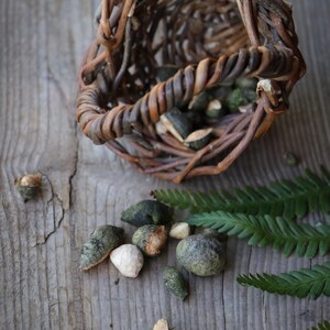 May include: A small, hand-woven brown twig basket containing several dark green, textured, rounded objects. Scattered around the basket are additional green textured pieces, a few light-colored smooth fragments, and a green fern frond.