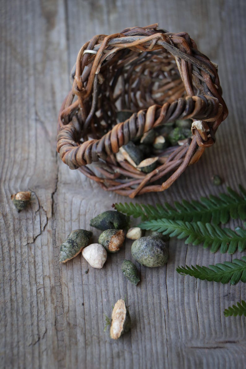 May include: A small, hand-woven brown twig basket containing several dark green, textured, rounded objects. Scattered around the basket are additional green textured pieces, a few light-colored smooth fragments, and a green fern frond.