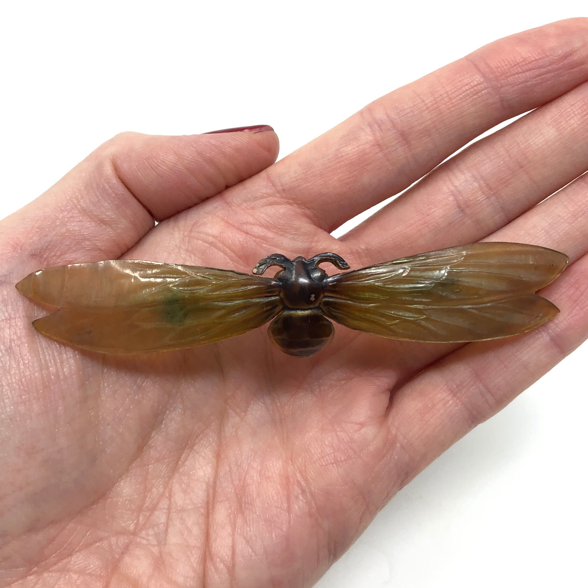 Broche Ancienne Art Nouveau Abeille En Corne Bovine Teintée - Longueur 7,3 Cm - Circa 1900 - Très Bon état