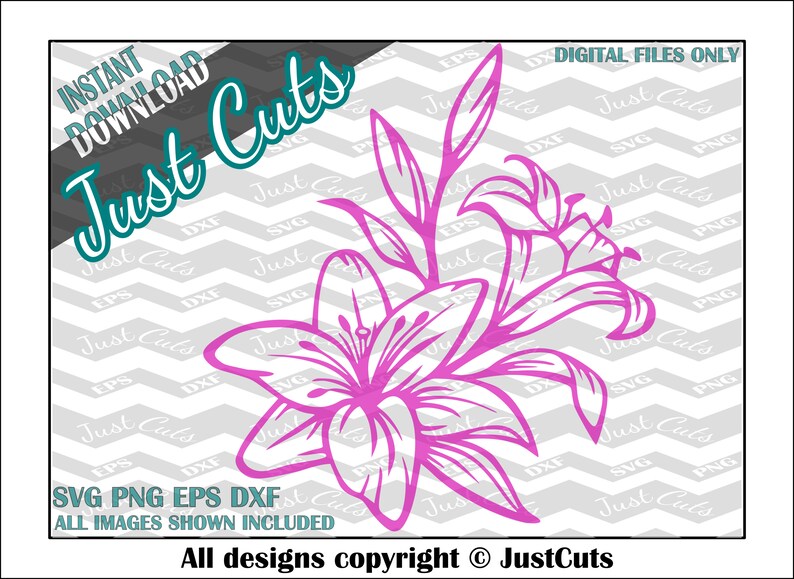 Free Free 51 Lily Flower Svg Free SVG PNG EPS DXF File