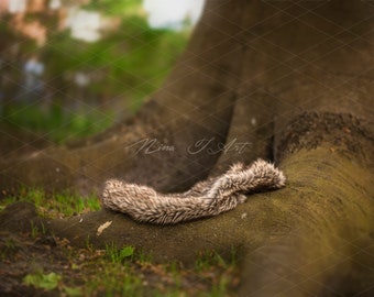 Digital Backdrop newborn baby boy girl Background In the  wood and fur in the woods Photography prop download High res 300dpi jpg file 1