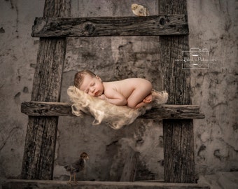 Digital Backdrop newborn baby boy girl Background rustic farmhouse and wool in the wood ladder Photography prop download High res 300dpi jpg