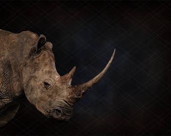 Rhinoceros digital background for newborn photography, Rhino photography background