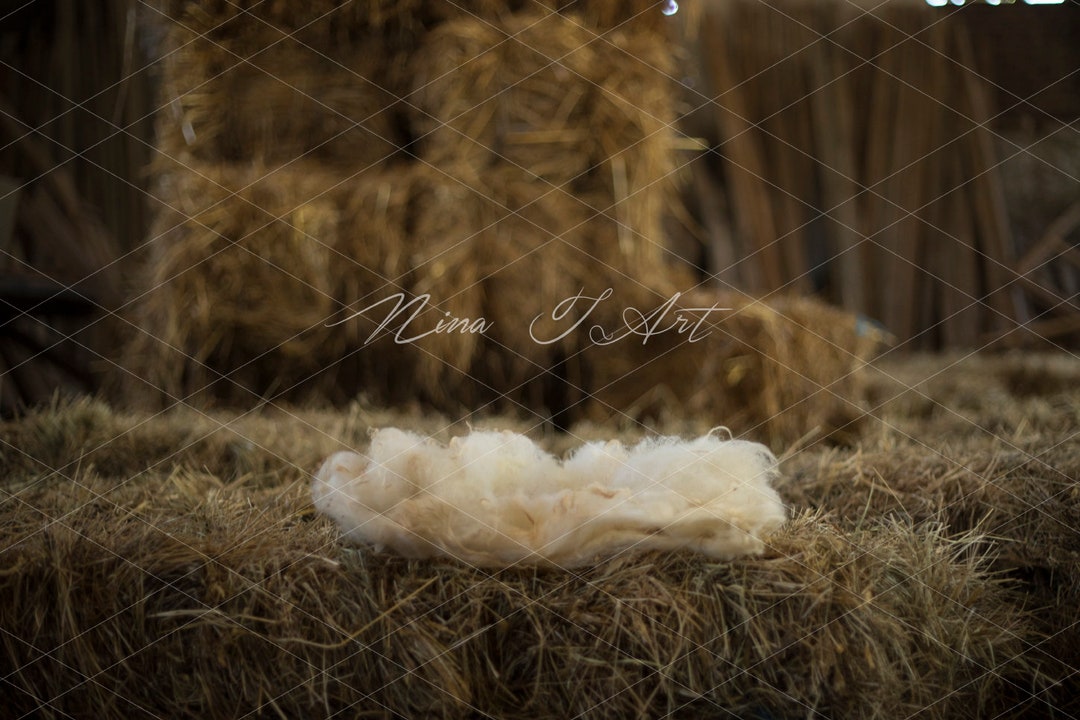 Digital Backdrop Newborn Baby Boy Girl Background Rustic Farmhouse ...