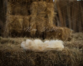 Digital Backdrop newborn baby boy girl Background rustic farmhouse, straw wool and wood Photography prop download High res 300dpi jpg
