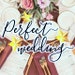 PerfectWeddingLove store logo