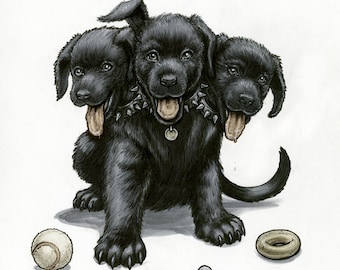 Fluffy, the Cerberus Puppy!