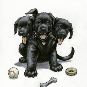 Fluffy, the Cerberus Puppy!