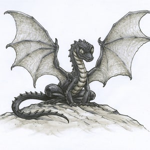 Black Dragon!