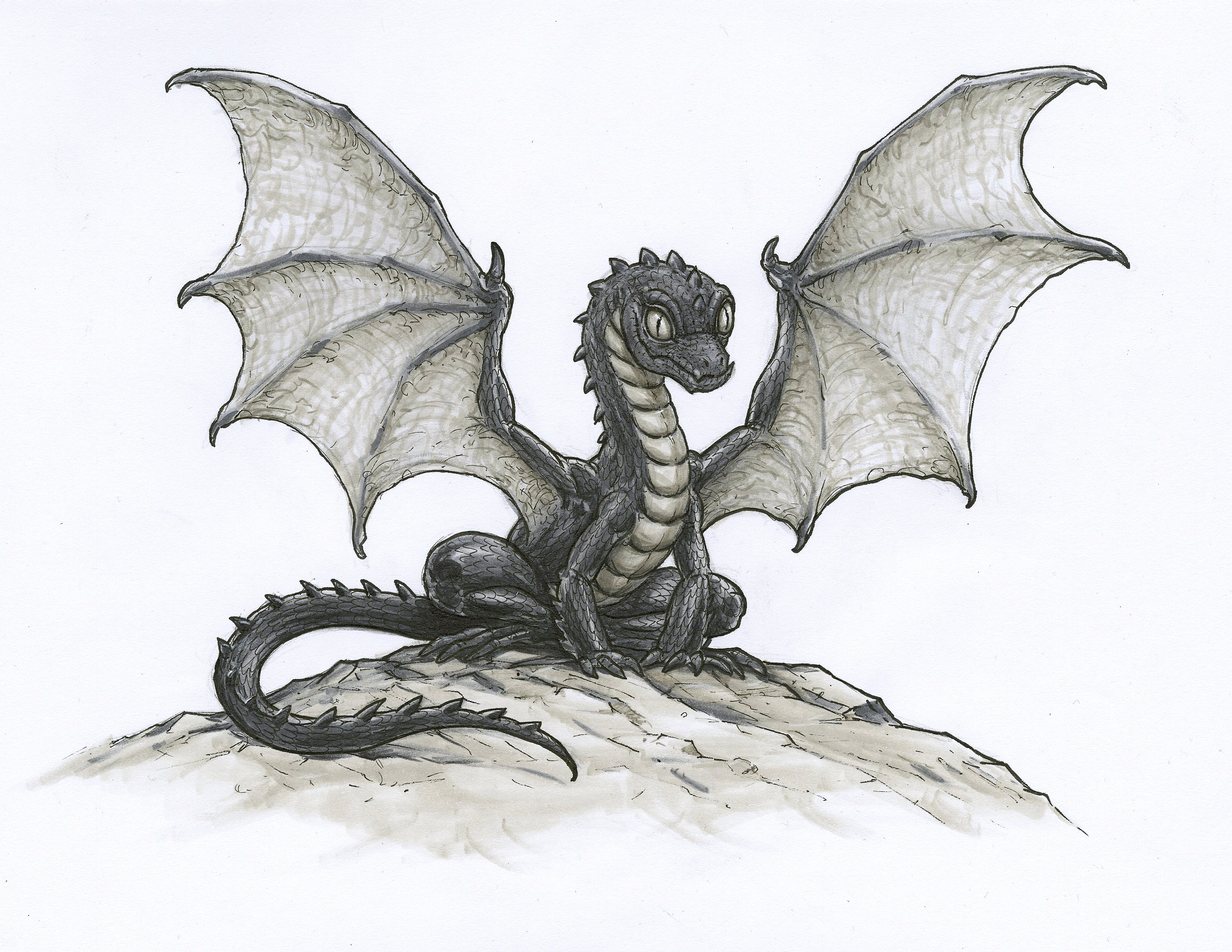 Черный дракон. Черный дракончик. Черный дракон рисунок. Дракон черной ручкой. Dragon noir