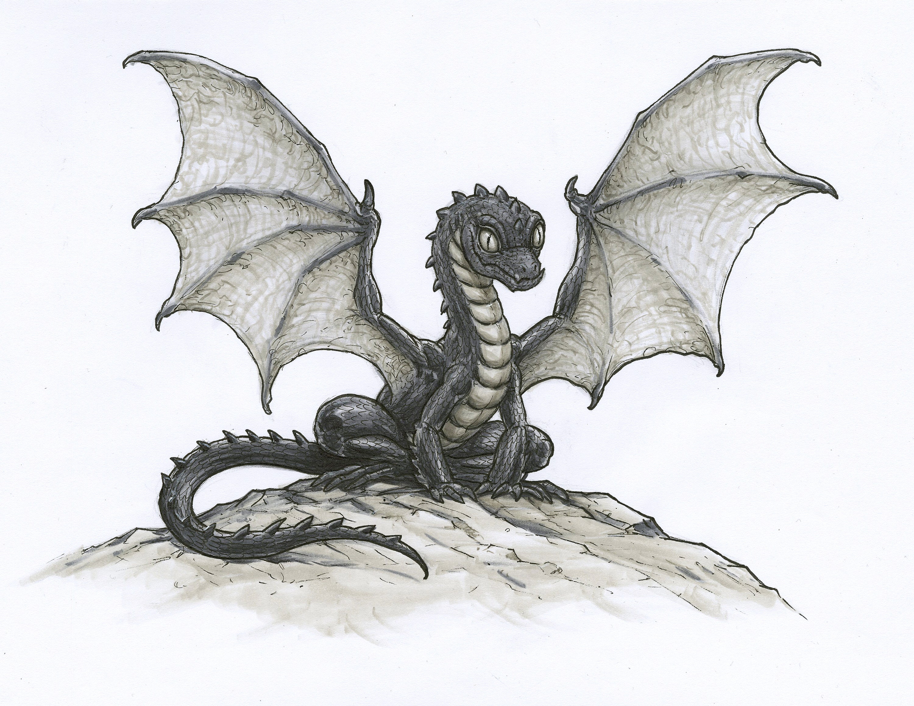 Black Dragon - Etsy
