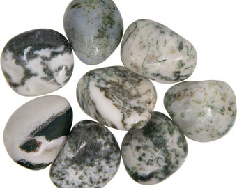 Tree Agate Tumbled Crystal, Natural Polished Tree Agate Gemstone, Healing Crystal, Stone of Inner Peace, Dendritic Agate, Abundance Stone