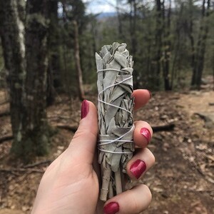White Sage Smudge Stick, White Sage Bundle, Salvia Apiana, Smudging Tools, Cleansing Herb, All Natural White Sage, Harvested in California.