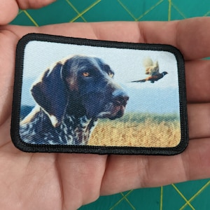 May include: A black and white German Shorthaired Pointer dog with a brown patch on its head is looking to the right. The dog is standing in a field of tall grass. A brown and white pheasant is flying in the background.