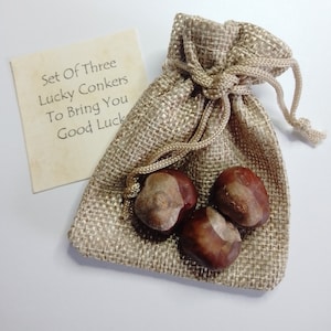 Small Horse Chestnuts, Conkers, Buckeye, Natural Fertility, Intuition, Pagan, Wiccan, Witchcraft Supplies, Lucky Mojo, Lucky Charms, Dried