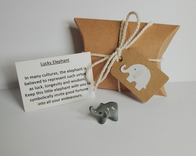 Elephant Good Luck Keepsake, DIY Gift Kit, Box, Organza Bag, Elephant