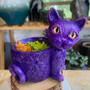 Cat Planter