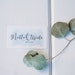 Alisha Lueck