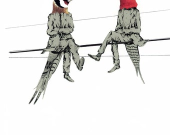 Birds on a wire