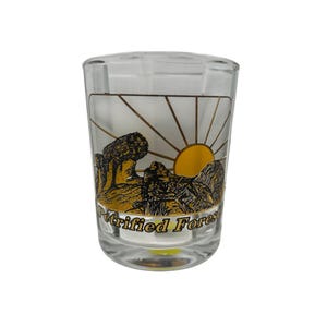 May include: Clear glass shot glass with a graphic of a yellow sun setting behind a desert landscape. The words "Petrified Forest" are printed in a stylized font below the image. The shot glass is cylindrical.