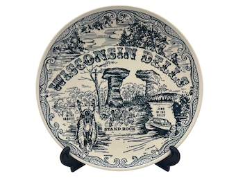 Piatto souvenir vintage Wisconsin Dells 10" Ironstone Spin originale prodotto negli Stati Uniti