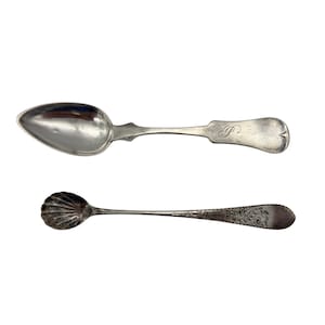 Cucharas antiguas de plata de ley con mango de violín de W.W. Cary y salero de concha de W.P. Jones, siglo XIX.