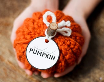 Set of 3 Pumpkins | crochet pumpkins | pumpkin decor | tablescape | fall decor | thanksgiving | table decor | pumpkin