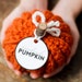 see more listings in the Pumpkins section
