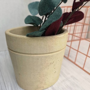 Rustic Concrete Planter, Stripe Pot, Organic Grey or Cream Planter, Outdoor Wedding Decor, Natural Conservatory or Home Decor, Botanic Gift image 5